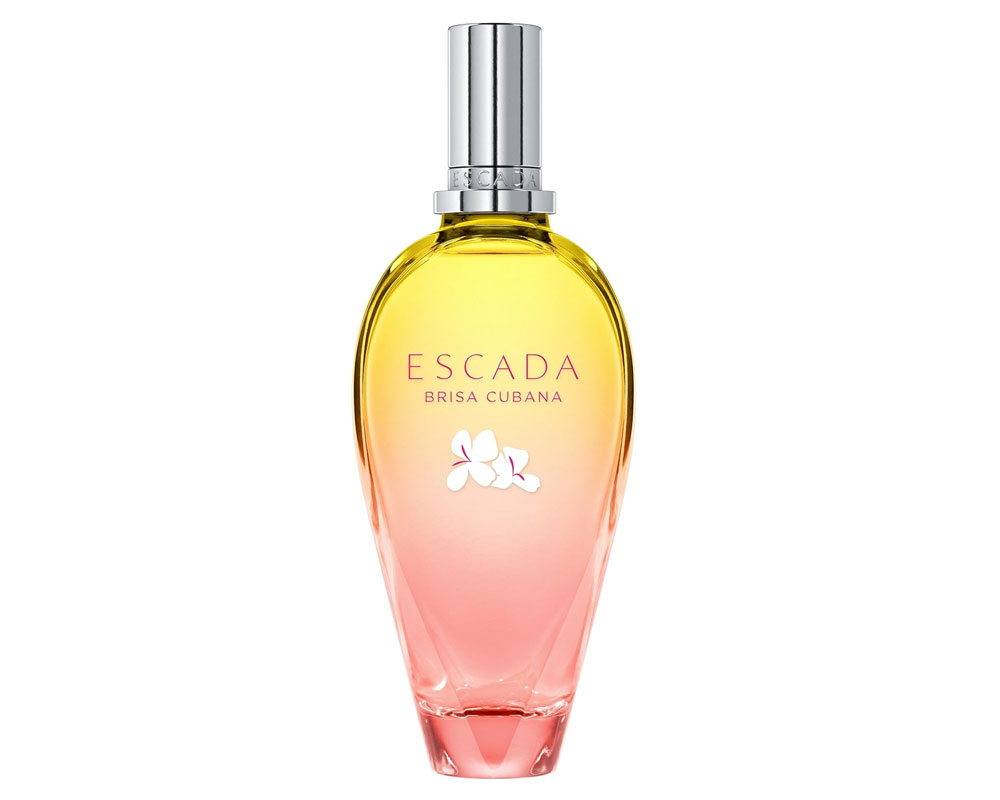 Best Everyday Feminine Fragrances