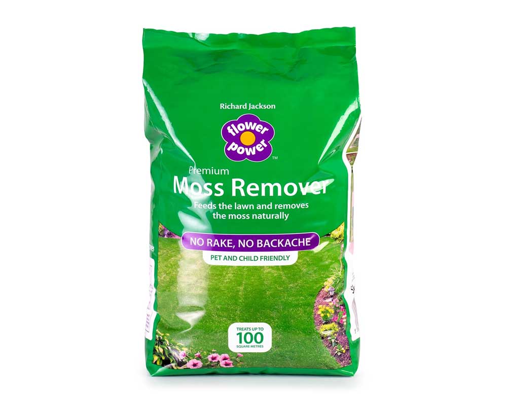 Best Organic Grass Moss Killer