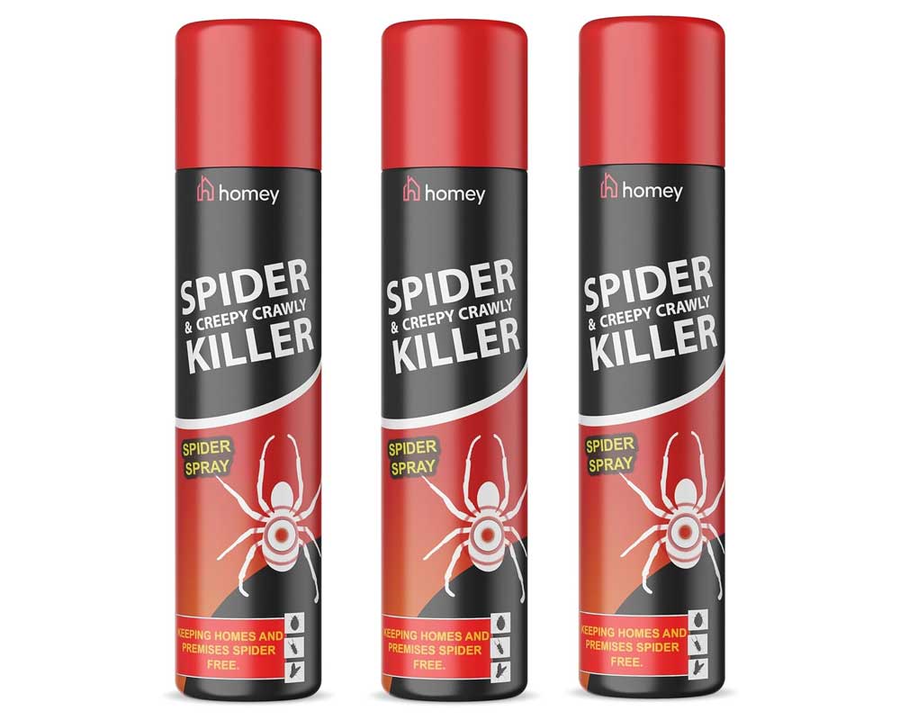 Best Spider Killer Spray