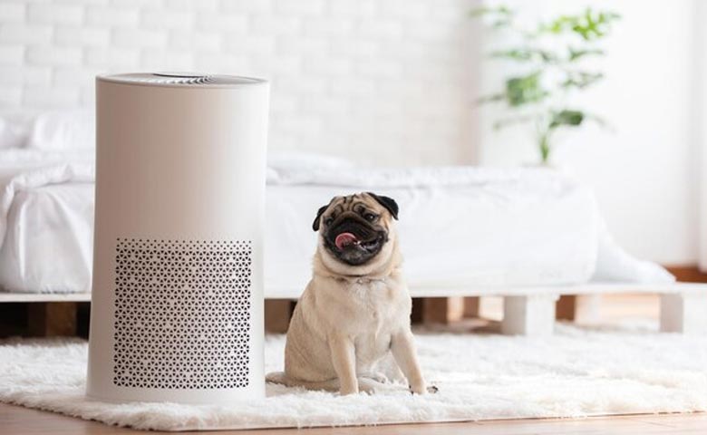 Different Needs of Air Purifiers