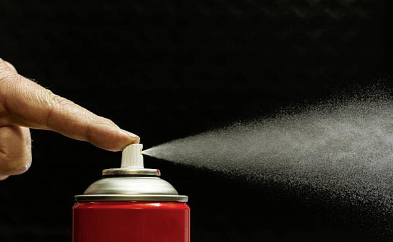 Choosing an Insecticide Spray